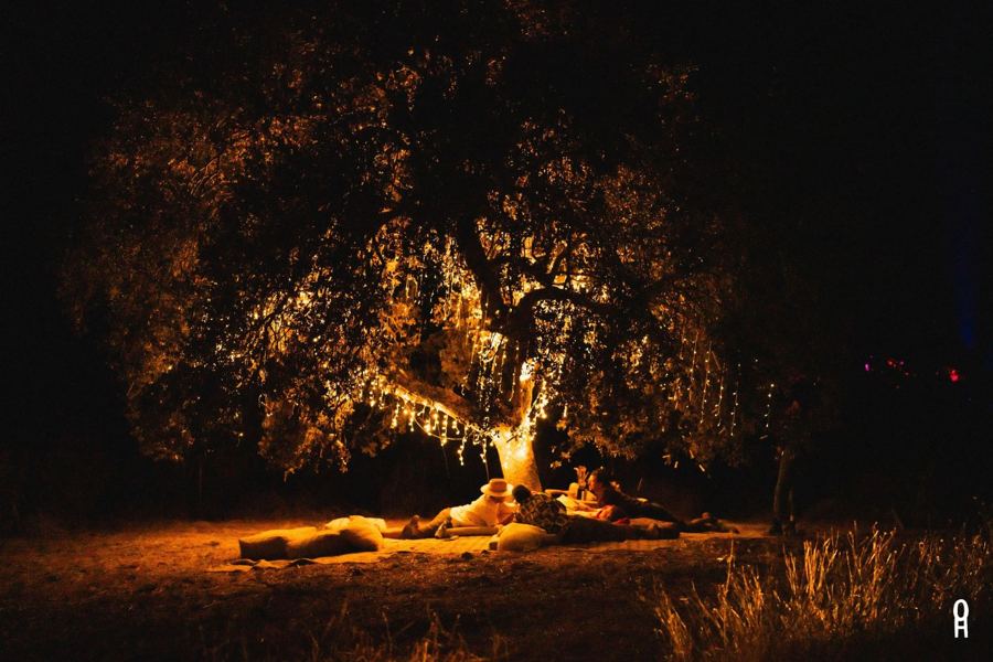 The Poetree at night, a cork oak hung with lights, people lying on cushions beneath it