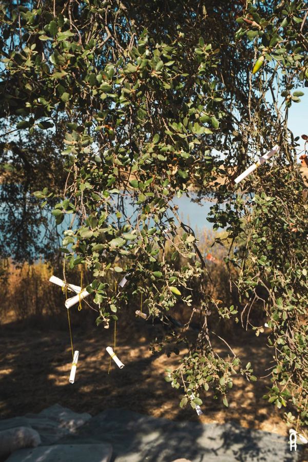 Rolled paper poems tied with yellow thread, hanging from the branches of a cork oak above a lake